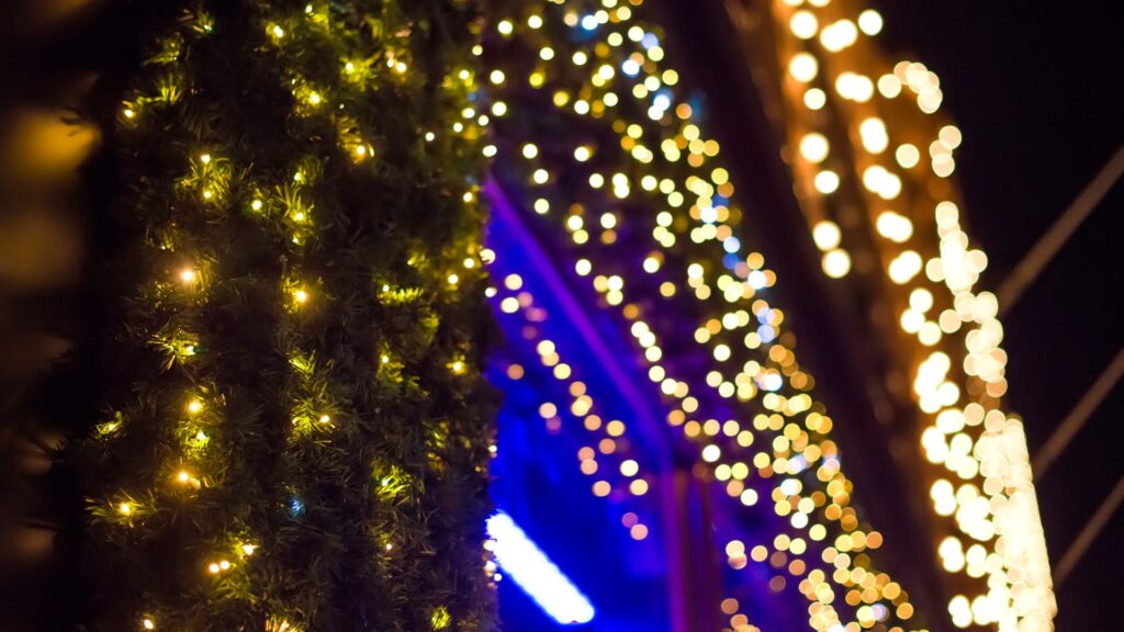 Shopping Center Christmas Lights Installation Services In Boise ID