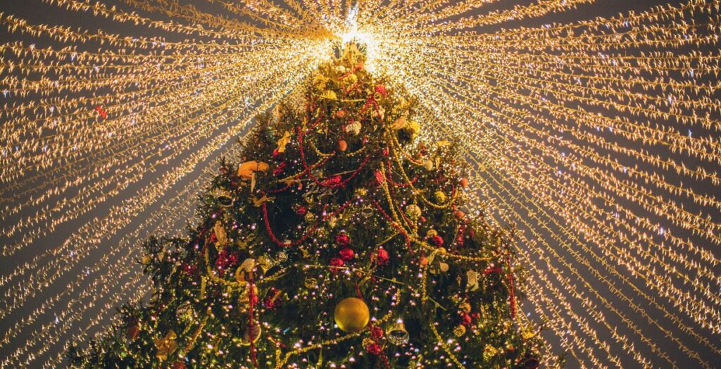 Christmas Light Setup