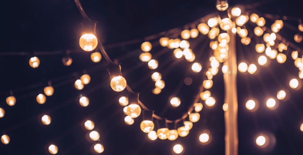 Holiday Light Hanging Experts